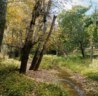 Somerset East Otro | Little Nyati farmstay