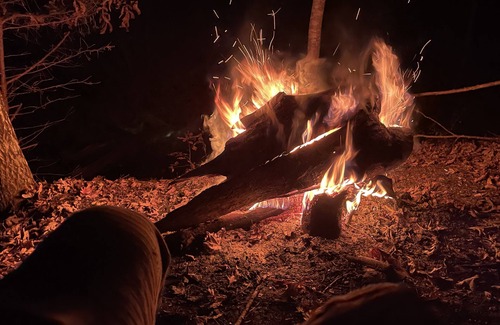 Kedron Cabina | Little Off Grid Cabin! Close to Downtown Leipers Fork!