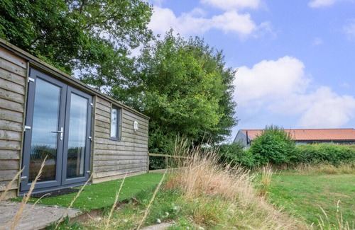 Woodbridge Casa | Little Owl and The Owl Box