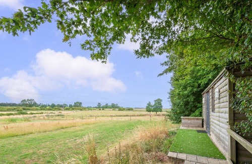 Woodbridge Casa | Little Owl and The Owl Box