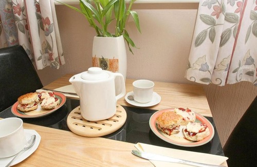 Rosudgeon Casa | Little Palm Trees