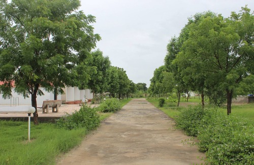Dasada Complejo | Little Rann Resort