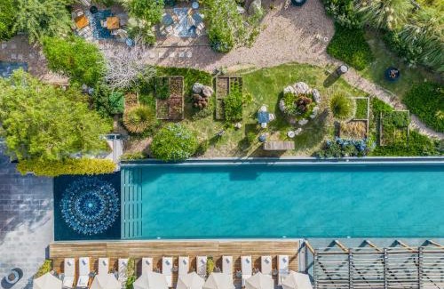 Colonia Azteca Hotel | Live Aqua San Miguel de Allende