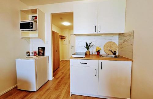 Chodov Apartamento | LIVE-INN PRAGUE DELUXE SUITE FOR 1-4 GUESTS, 20 Mins to center, Lift, Gym, Reception, Parking, Roof Terrace, Game & Party