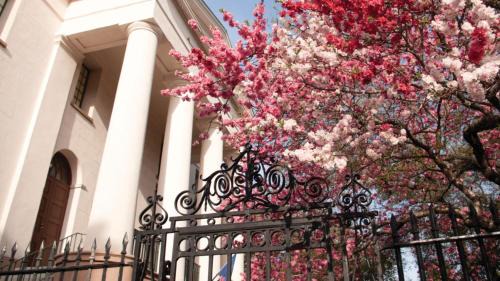 Cannonborough Elliotborough Hotel | Live Oak, Charleston Historic District, a Tribute Portfolio Hotel