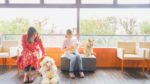 Yawatano Hotel | LiVEMAX Resort Izu Kogen Terrace & Spa
