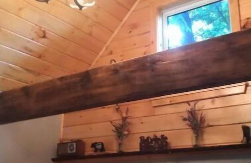 Dansville Cabina | Livingston cabin