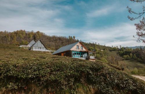 Cayirduzu Hotel | Livoz Suit Bungalov