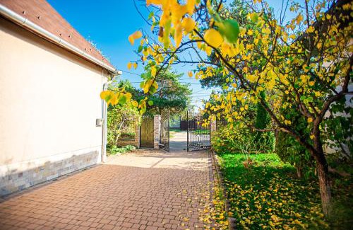 Berehove Apartamento | Lizak