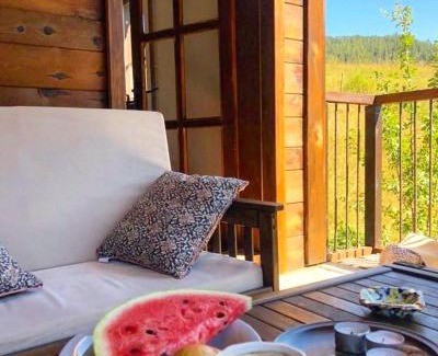 Bajina Basta Villa | Ljubičin Konak