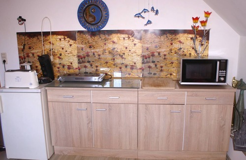 Biederbach Otro | Llama and Maine Coon farm in sunny and secluded location in Biederbach 3 rooms