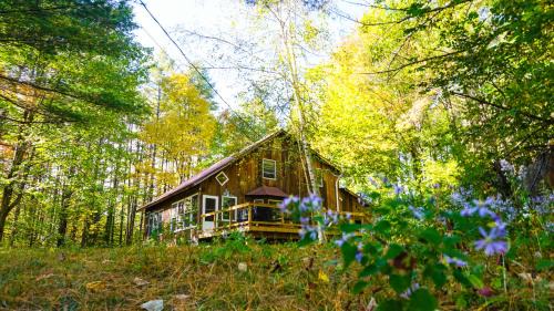 Wevertown Cabina | Llama House ADK
