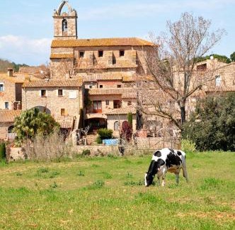 Llofriu Casa | Llofriu - Costa Brava