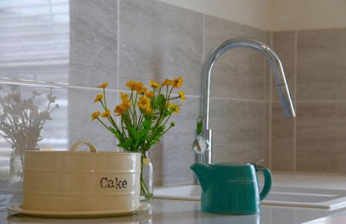 Porthmadog Apartamento | Lloydia