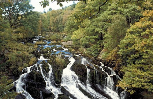 Gwynedd- Snowdonia Chalet De Esquí | Disfrute de este refugio tranquilo en las afueras de Betws y Coed, a poca distancia de todo