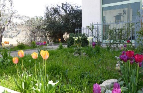 Matera Apartamento | Lo Scrigno
