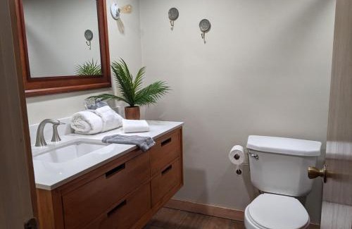 Eureka Springs Casa | Loblolly Pines CenterPoint Camp House