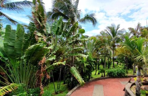Piton Saint-Leu Apartamento | Loc974 Les Cocotiers