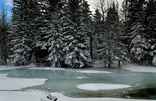 Red Lodge Chalet De Esquí | Paraíso de pesca para 8 en Red Lodge, MT`s Rock Creek