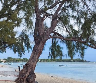 Morcellement Raffray Casa | location bord de mer Albion ile Maurice