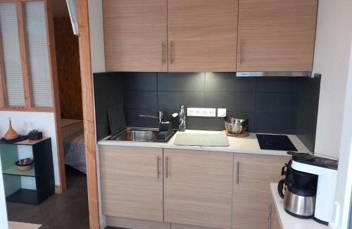 Saint-Medard-en-Jalles Apartamento | Location Studio indépendant avec terrasse ,les vignes d'élian