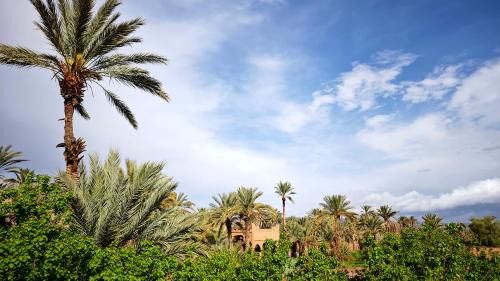 Mezguita Cabina | Lodge Hara Oasis
