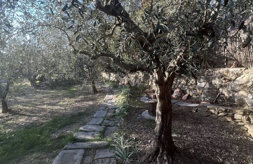 Calenzano Otro | Lodge in the olive grove