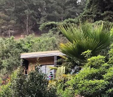 Navidad Casa | Lodge Los Bosques