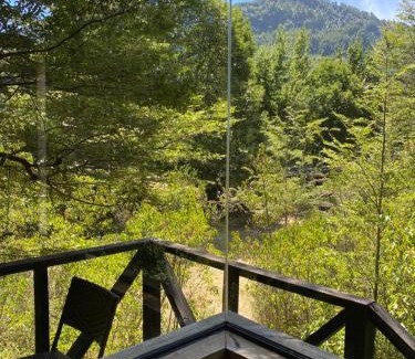 Panguipulli Cabina | Lodge Punahue