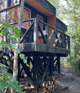 Panguipulli Cabina | Lodge Punahue