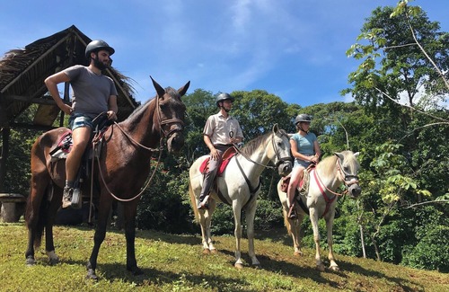 Parrita Casa | Lodge with Private 40ha Jungle Reserve
