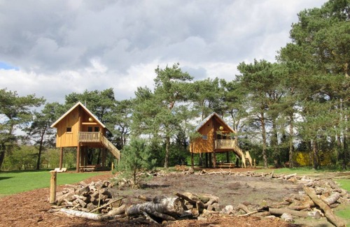 Otterlo Chalet De Esquí | Elegante cabaña con terraza, cerca del Parque Nacional De Veluwe