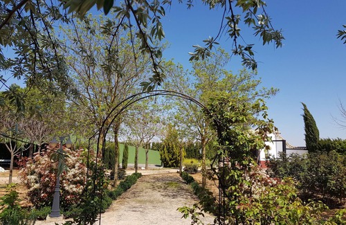 Pedro Muñoz Chalet De Esquí | Alojamiento ubicado en un entorno natural y tranquilo.