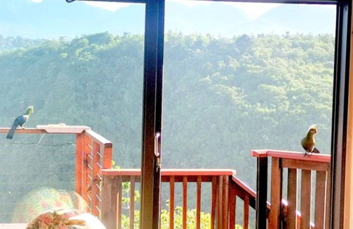 Victoria Bay Cabina | Loerie's Rest Cabin hideaway.