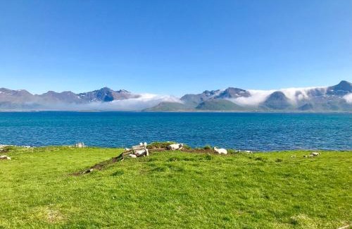 Bostad Casa | Lofoten Bay View