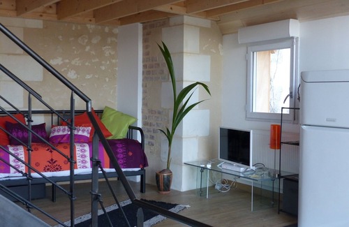 Amboise Cabaña | Loft 3 * en parte troglo, centro de la ciudad, estacionamiento, jardín, excelente vista, 4/5 personas