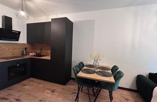 Grudziadz Apartamento | Loft Apartament Grudziądz