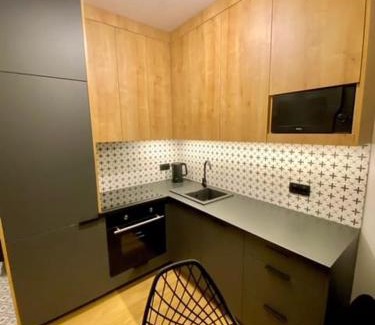 Namysłow Apartamento | LOFT APARTAMENT IV Namysłów