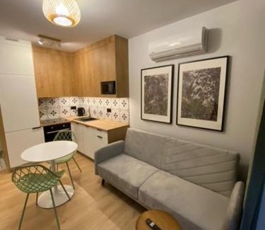 Namysłow Apartamento | LOFT APARTAMENT V Namysłów