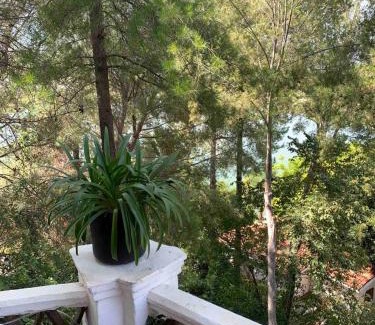 Juriquilla Apartamento | Loft con vista al lago