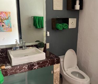Juriquilla Apartamento | Loft con vista al lago