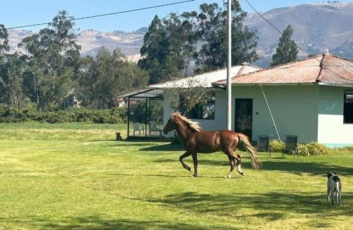 Cajamarca Casa | Loft Del Fundo Del Abuelo