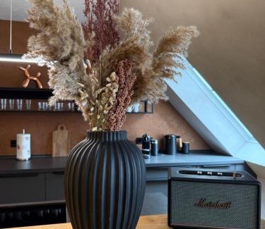 Erfurt Old Town Apartamento | Loft Freigeist