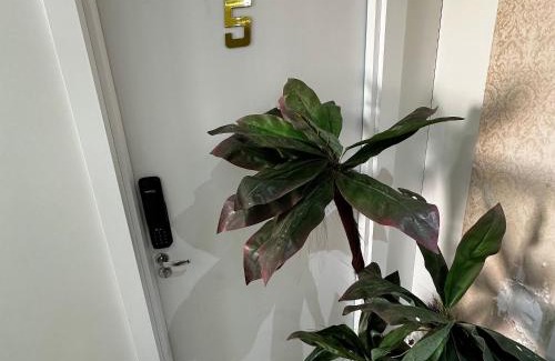 Esplanada Apartamento | Loft Lux SM 05 (Smart TV, Ar condicionado, Cozinha)