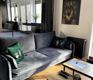 Torun Apartamento | LOFT Mickiewicza