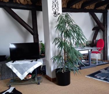 Brandau Apartamento | Loft Ziegelei