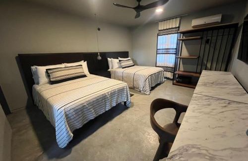 Oaxaca Apartamento | Lofts Marques Oaxaca