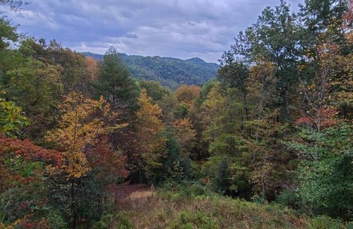 Ferguson Cabina | Log Cabin, Great views, Hot Tub, Large Deck, Privacy, Horse and Pet-Friendly