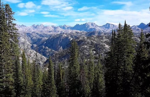 Pinedale Cabina | Log cabin in the National Forest, near ski lift! Full restaurant/ bar on site.