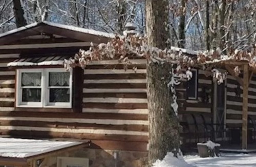 Huntingdon Cabina | Log Cabin in Wooded Area Near Raystown Lake Boat Access